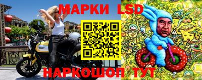 сатива Краснодар