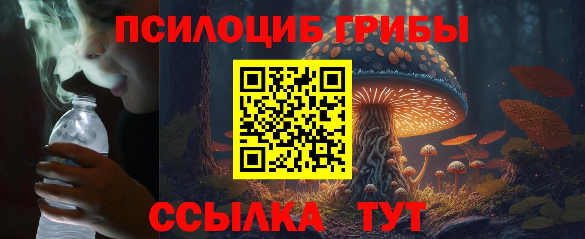 Псилоцибиновые грибы мицелий  Вход с VPN  купить наркотик  Псилоцибиновые грибы Cubensis  Екатеринбург 