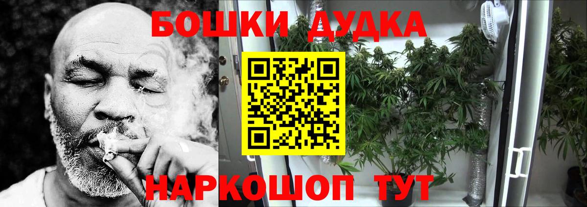 Бошки Шишки семена  Бошки марихуана Ganja  Конопля THC 21%  Екатеринбург  Конопля план  Вход с VPN 