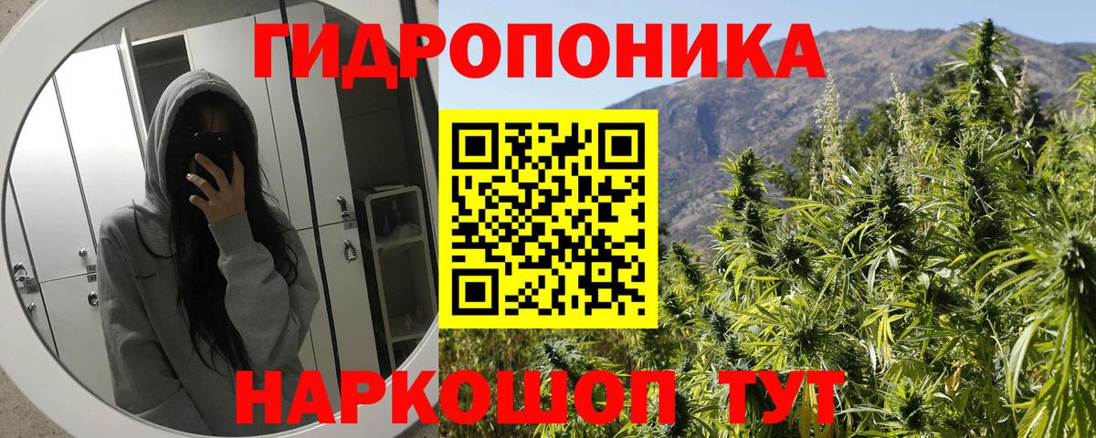 Конопля White Widow Екатеринбург